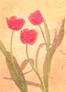 Swimming Tulips